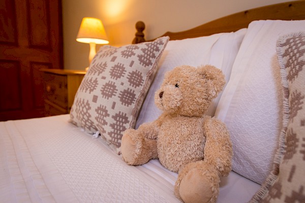 Snowdonia Holidays - Cilfach-y-Nant - Self Catering Cottage Snowdonia - Sleeps 5 Cilfach-y-Nant