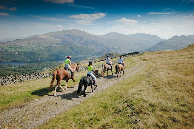 Snowdonia Riding Stables